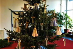 128959276_3609366515818355_6450430501076658925_n-1