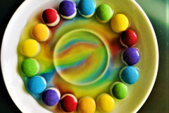 158690696_3871345606287110_4574906703388849110_n-1