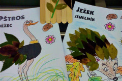 44327472_1982506638504359_7295231659991891968_n-2