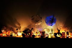 DSC00960